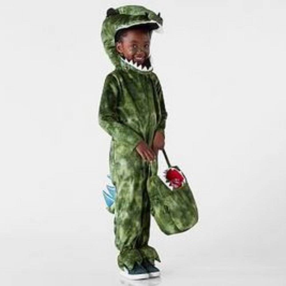 Pottery Barn Kids Light Up T-Rex Costume, 4-6Y